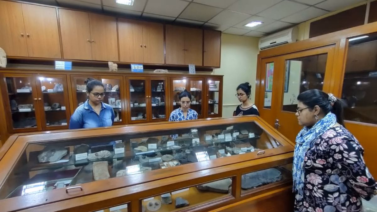 calcutta university botany department's paleobotany museum
