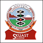 Assistant Professor